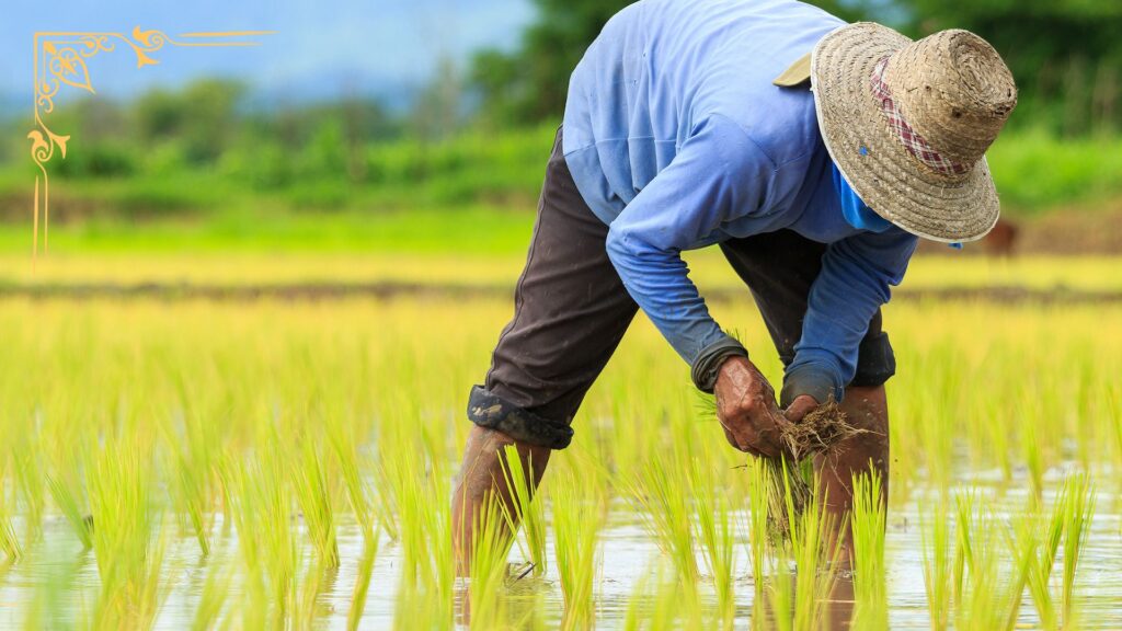 Bekerja dengan Baik adalah Bentuk Ibadah yang Baik