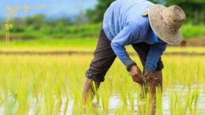 Bekerja dengan Baik adalah Bentuk Ibadah yang Baik